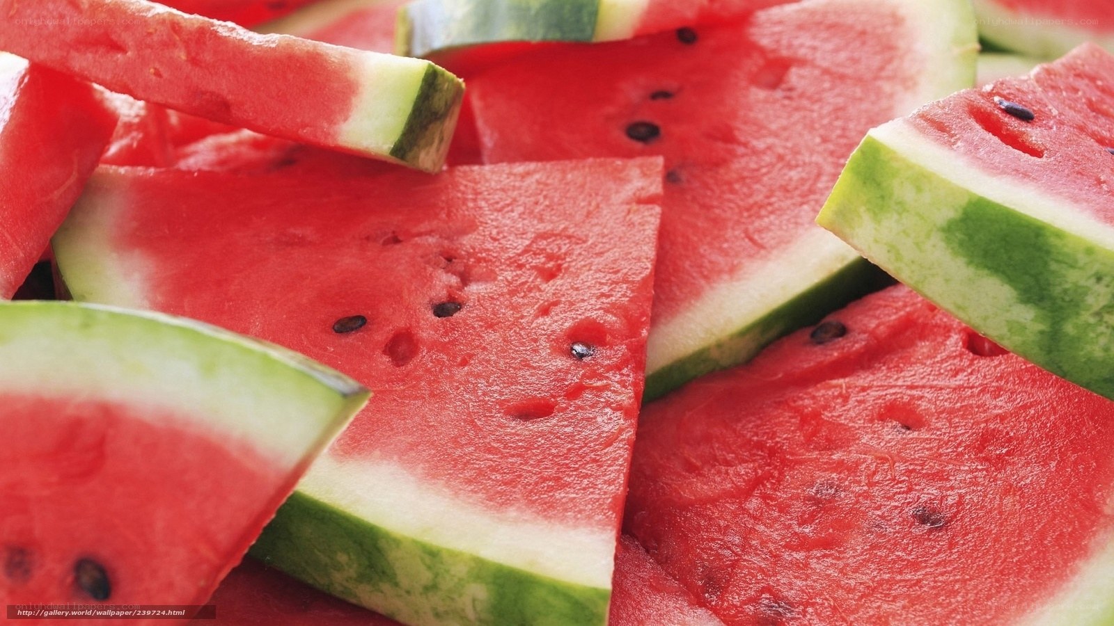 slices of watermelon fruit