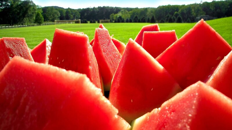 Slices of watermelon on a field