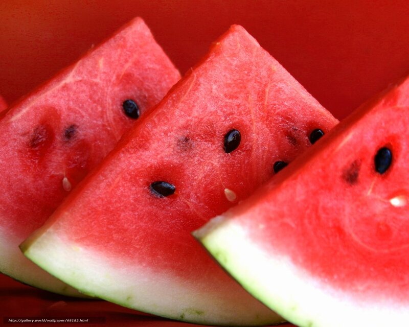 Slices of watermelon