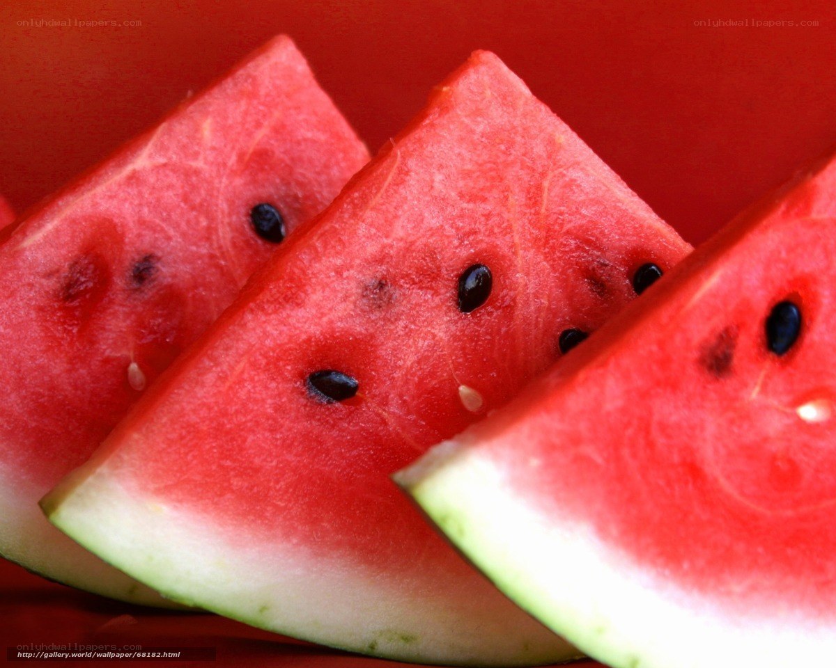 Slices of watermelon