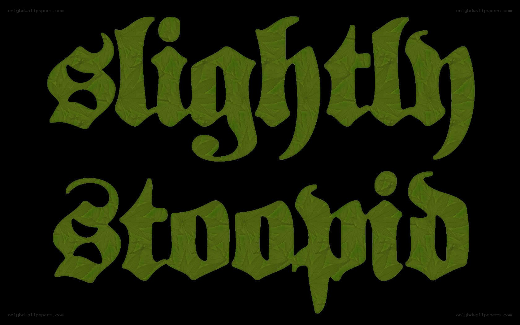 slightly stoopid text