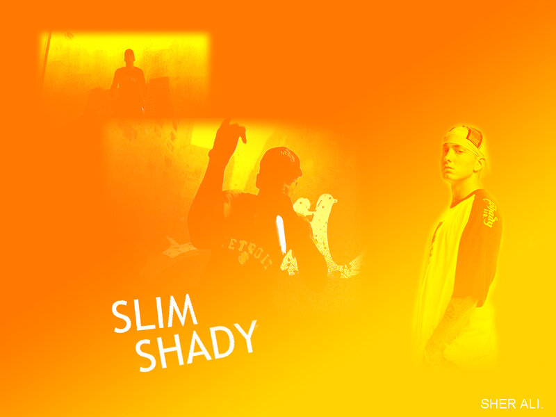 Slim Shady collage artwork