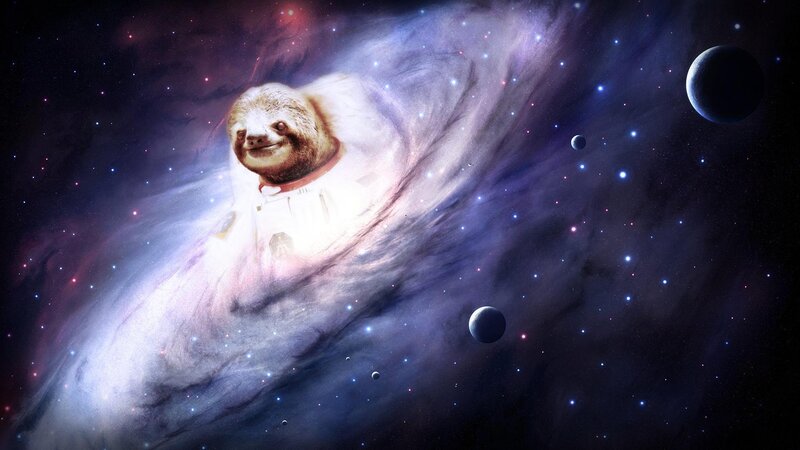 sloth astronaut in space