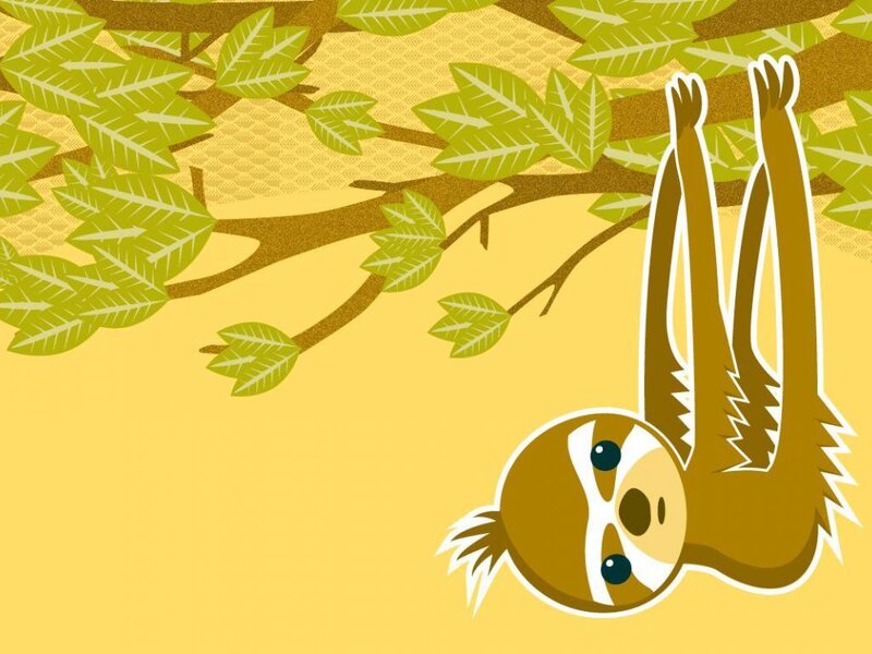 Sloth Hanging from Tree