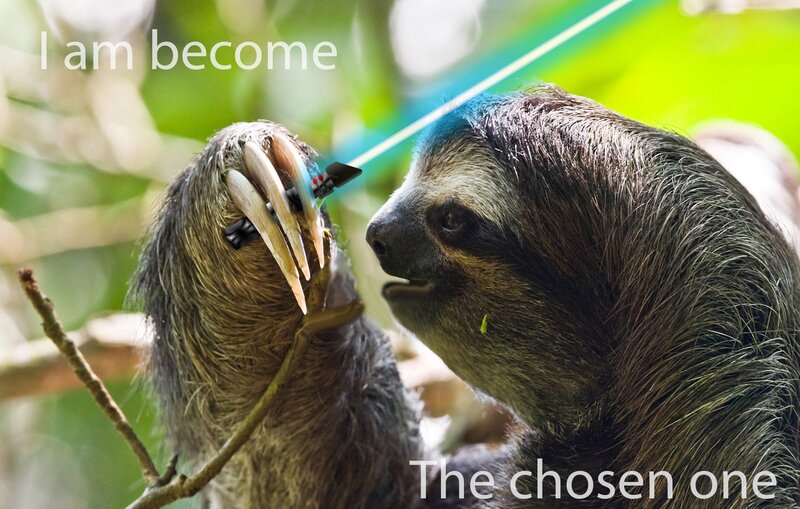Sloth Holding Lightsaber