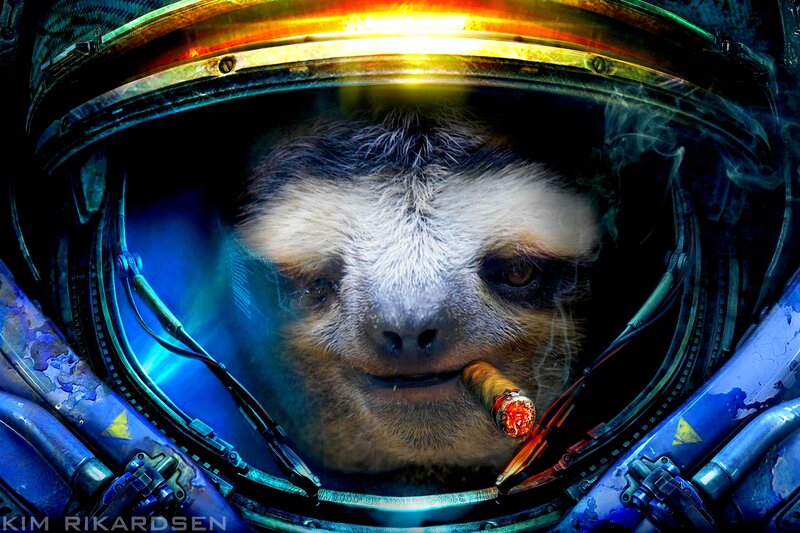 Sloth in Astronaut Helmet — Blue