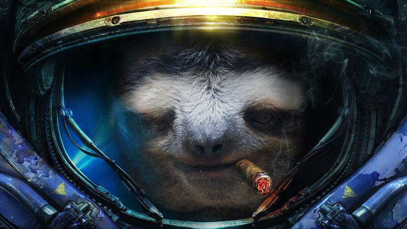 Sloth in Astronaut Helmet