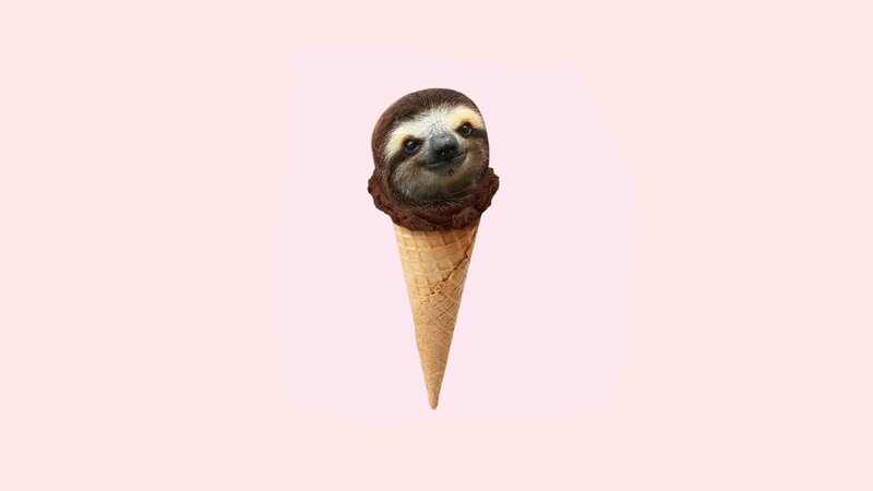 Sloth in Ice Cream Cone