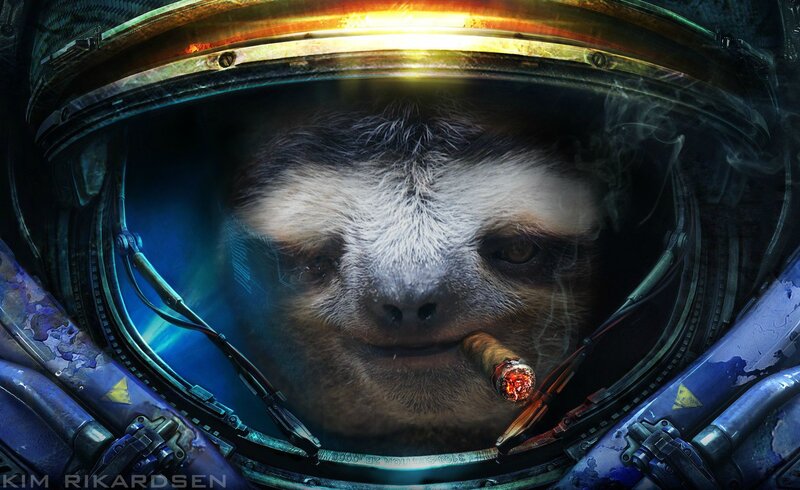 Sloth in Space Helmet