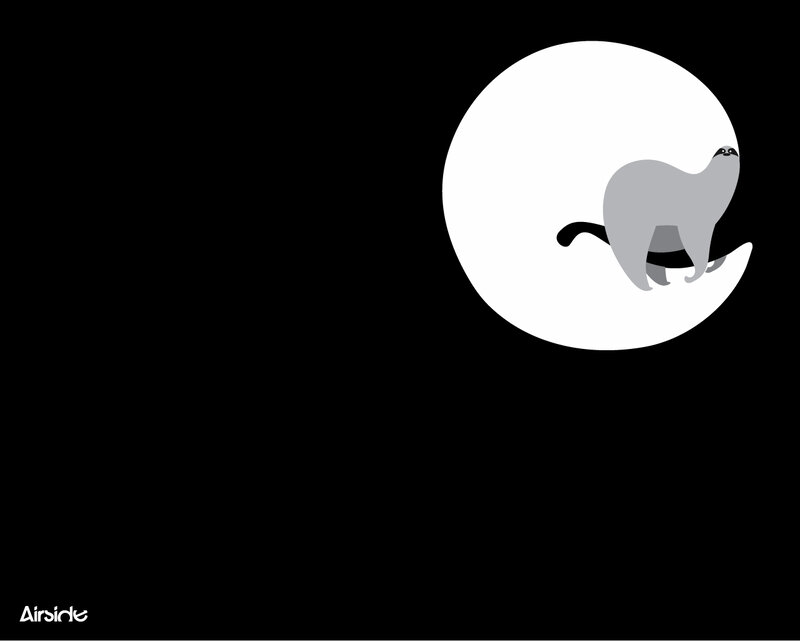 sloth on the moon