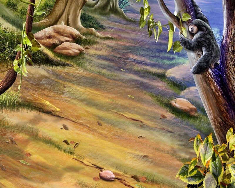 Sloth on Tree Branch