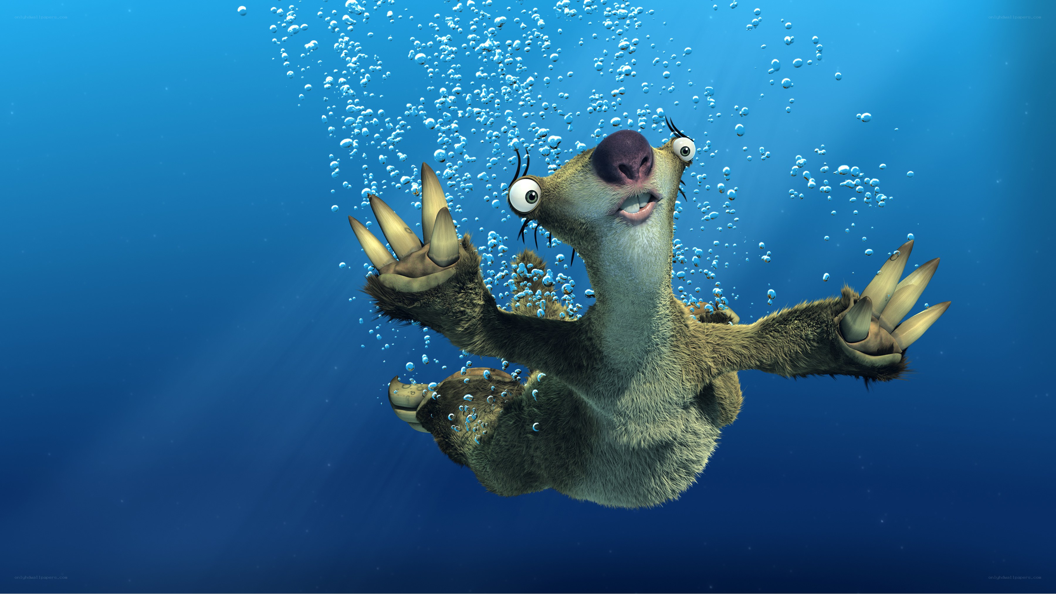 sloth swimming underwater
