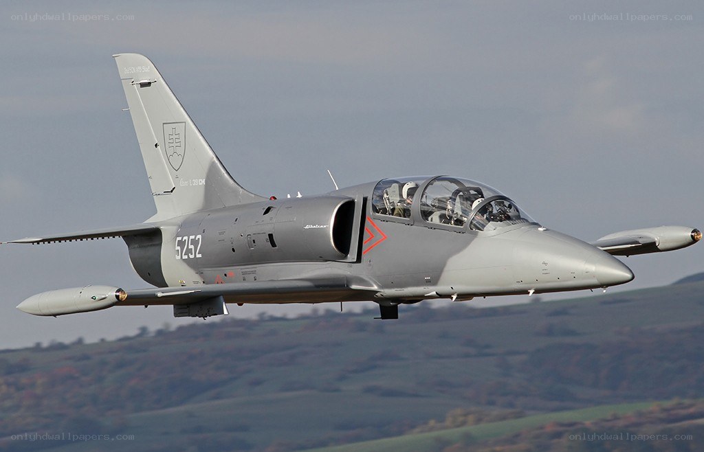 Slovak Air Force jet in flight