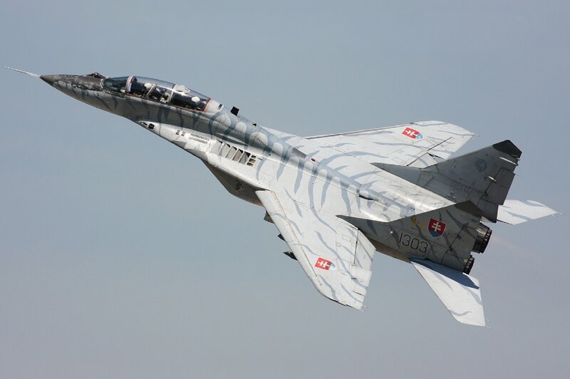 Slovak MiG-29 Fighter Jet — Gray, Dynamic