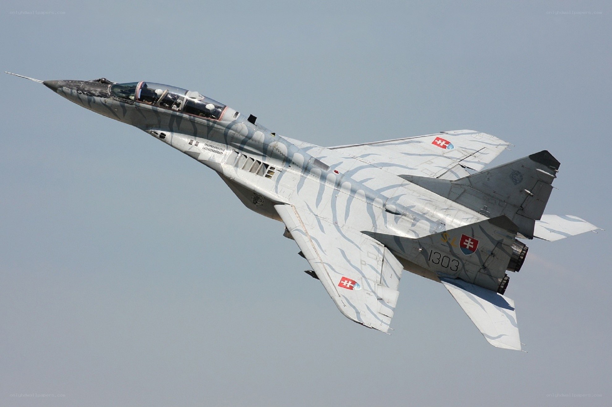 Slovak MiG-29 in flight