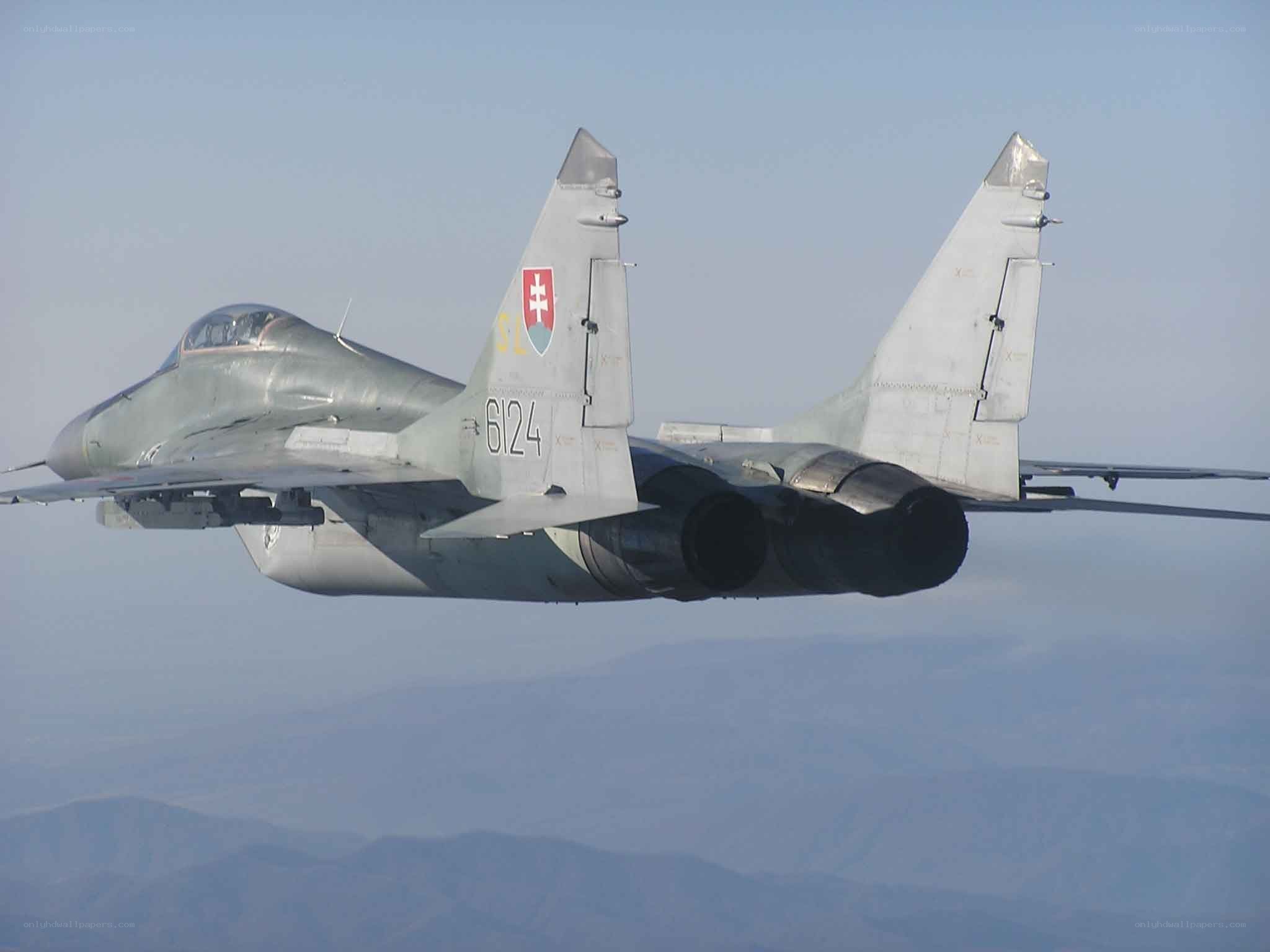 Slovak MiG-29 in flight