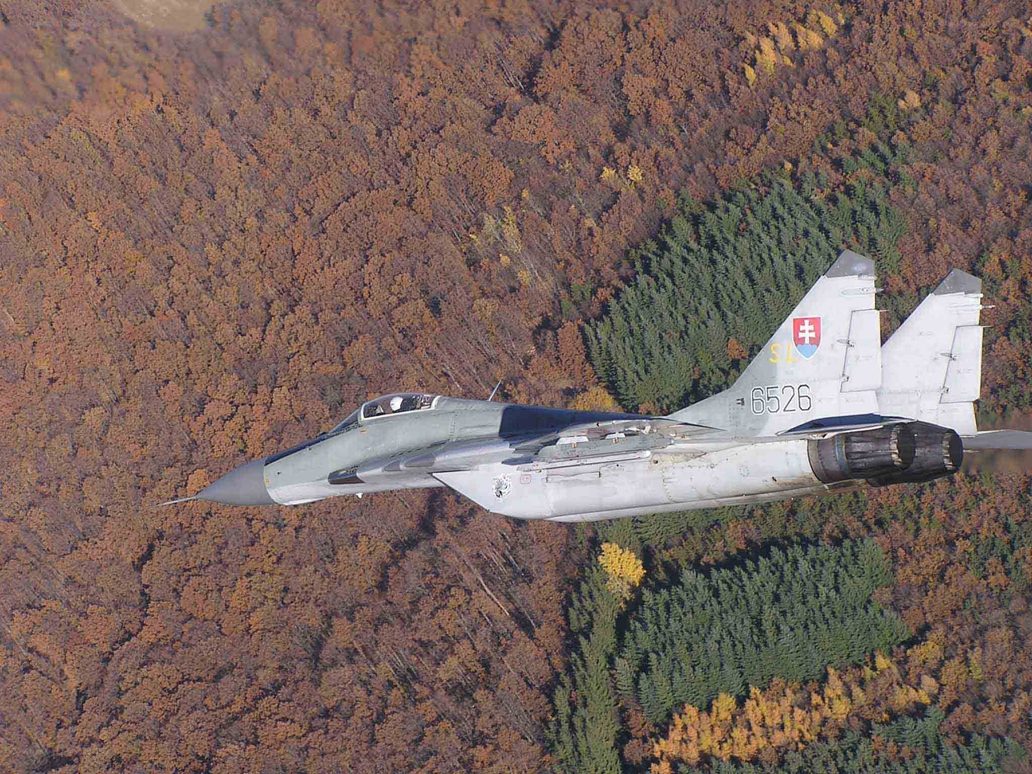 Slovak MiG-29 in flight