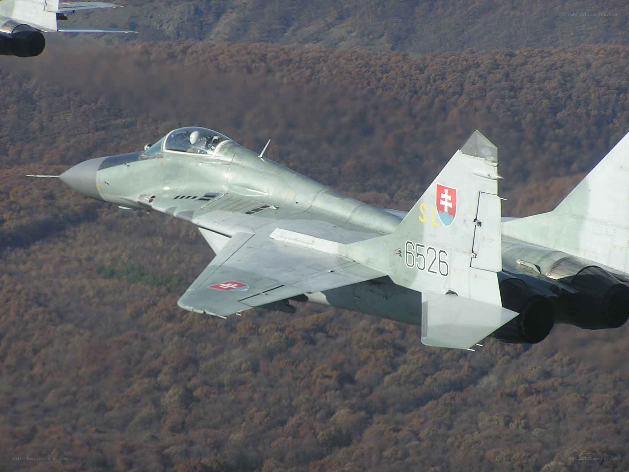 Slovak MiG-29 in flight