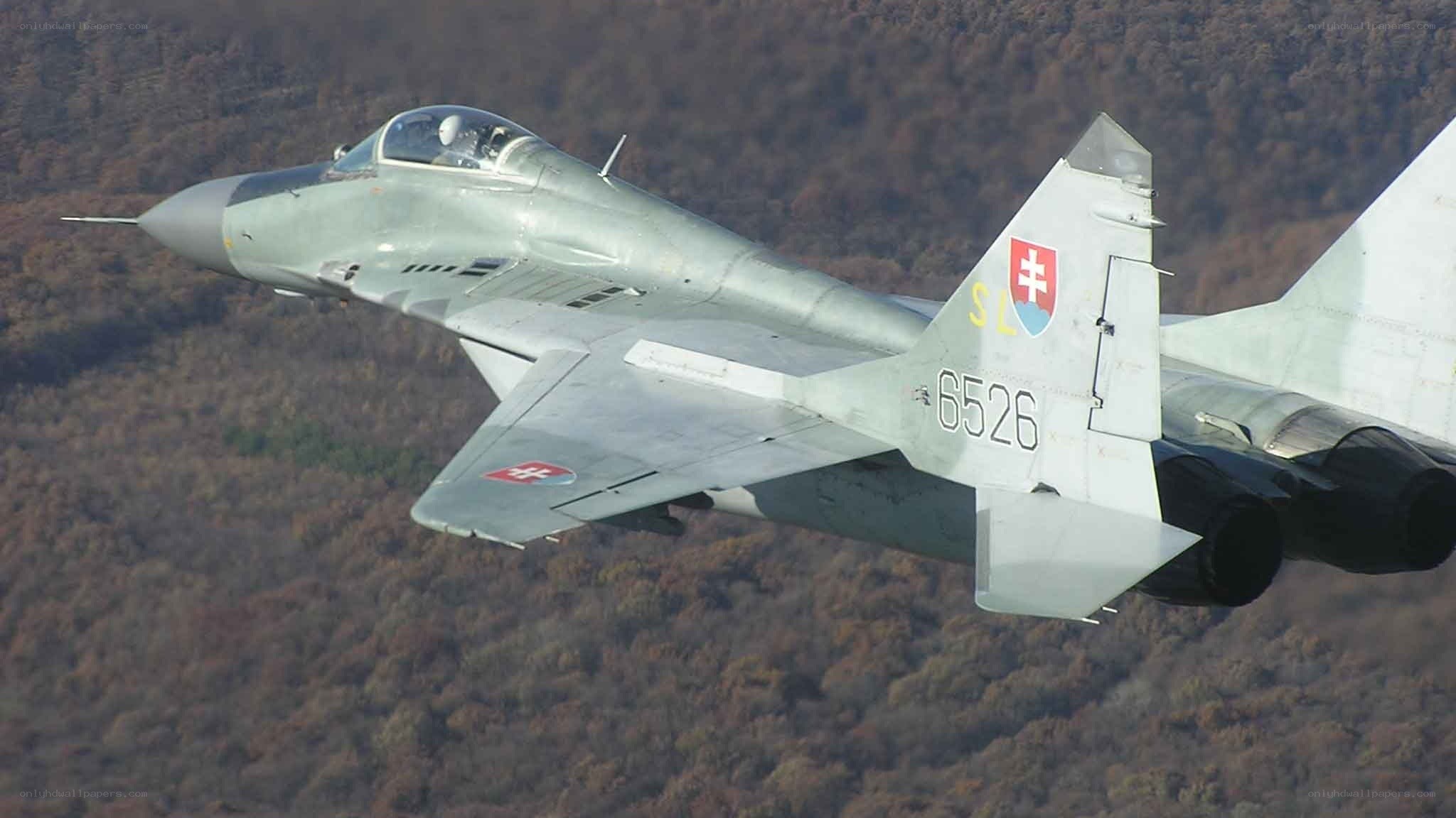 Slovak MiG-29 in flight