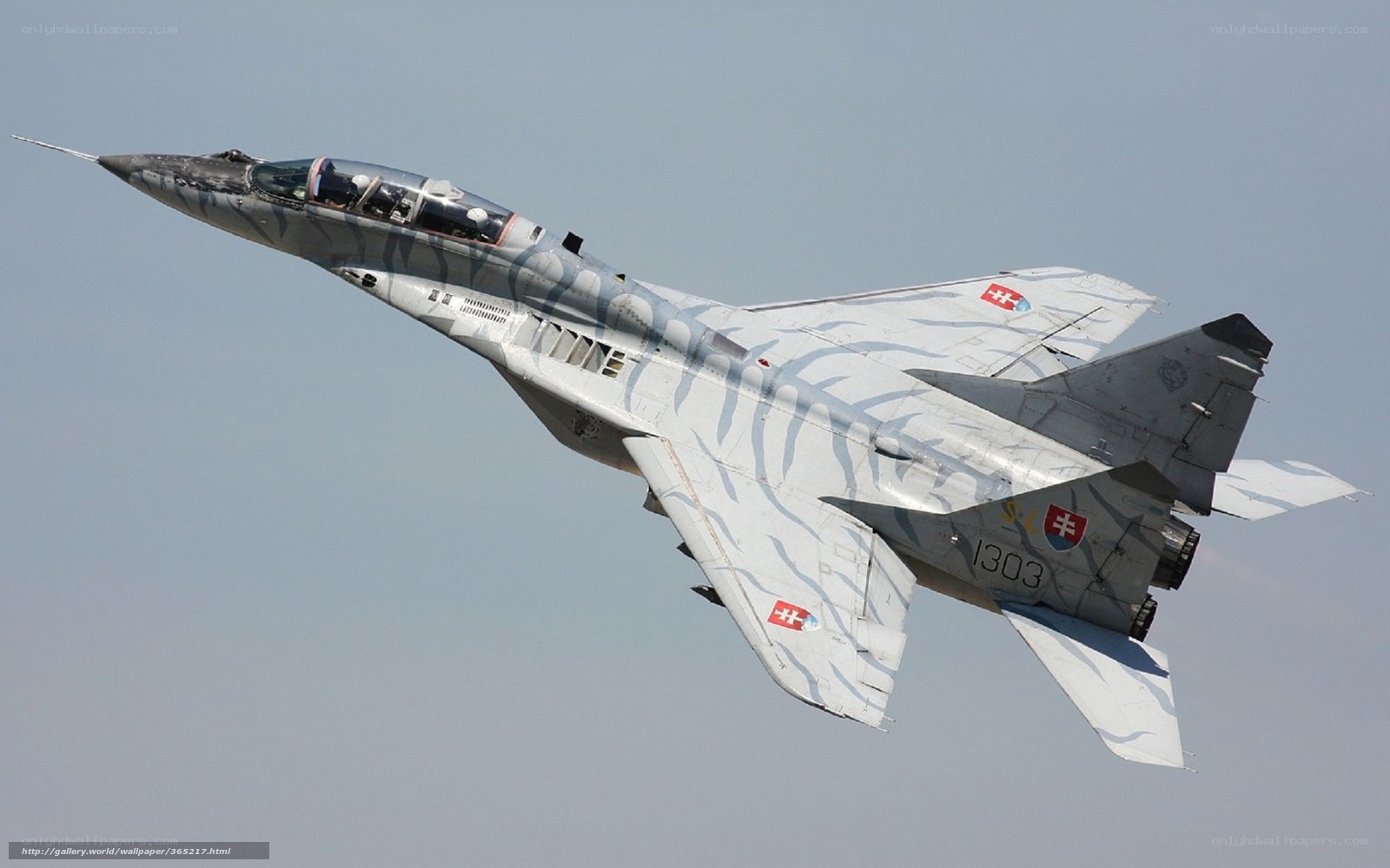 Slovak MiG-29 in flight