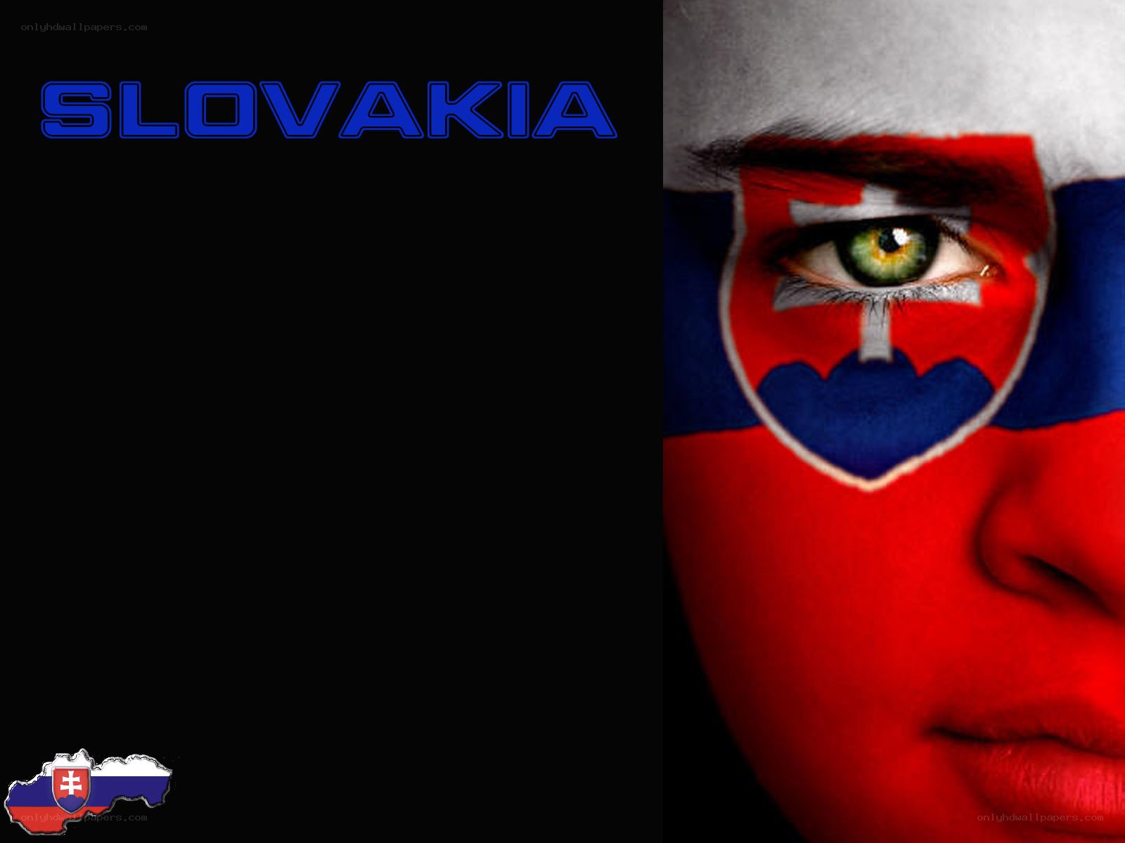Slovakia flag face art