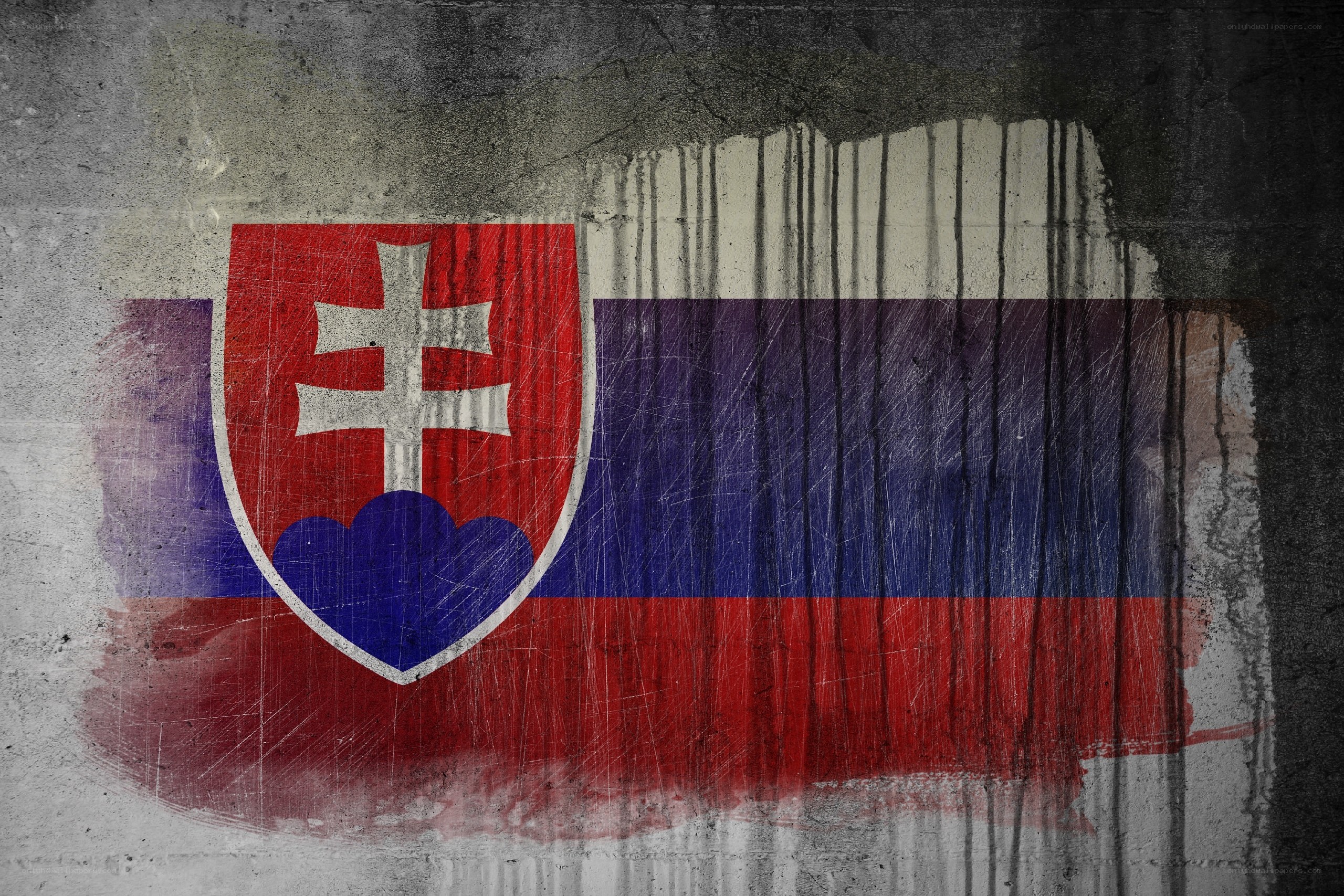 Slovakia flag on concrete wall