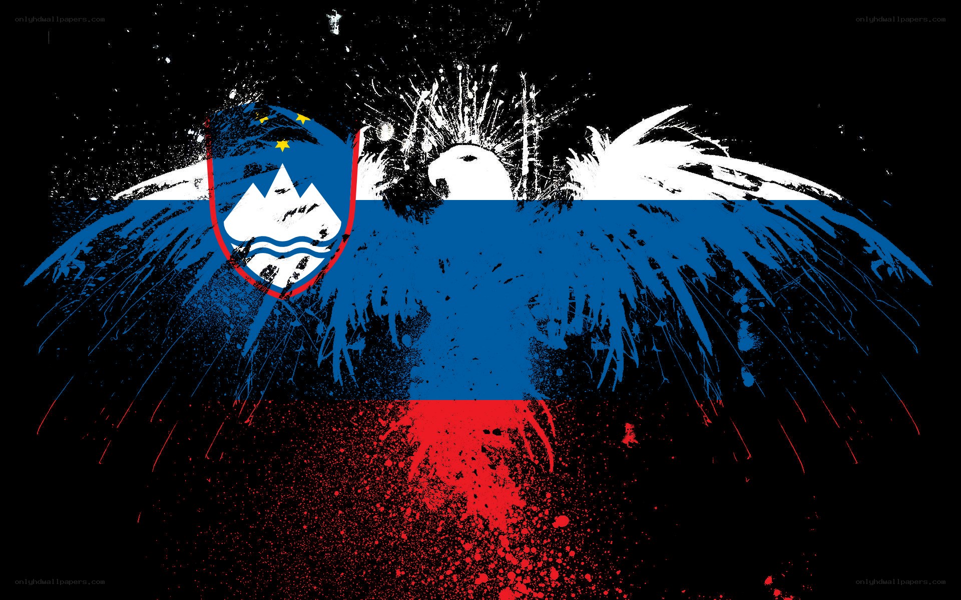 Slovenian flag with griffin