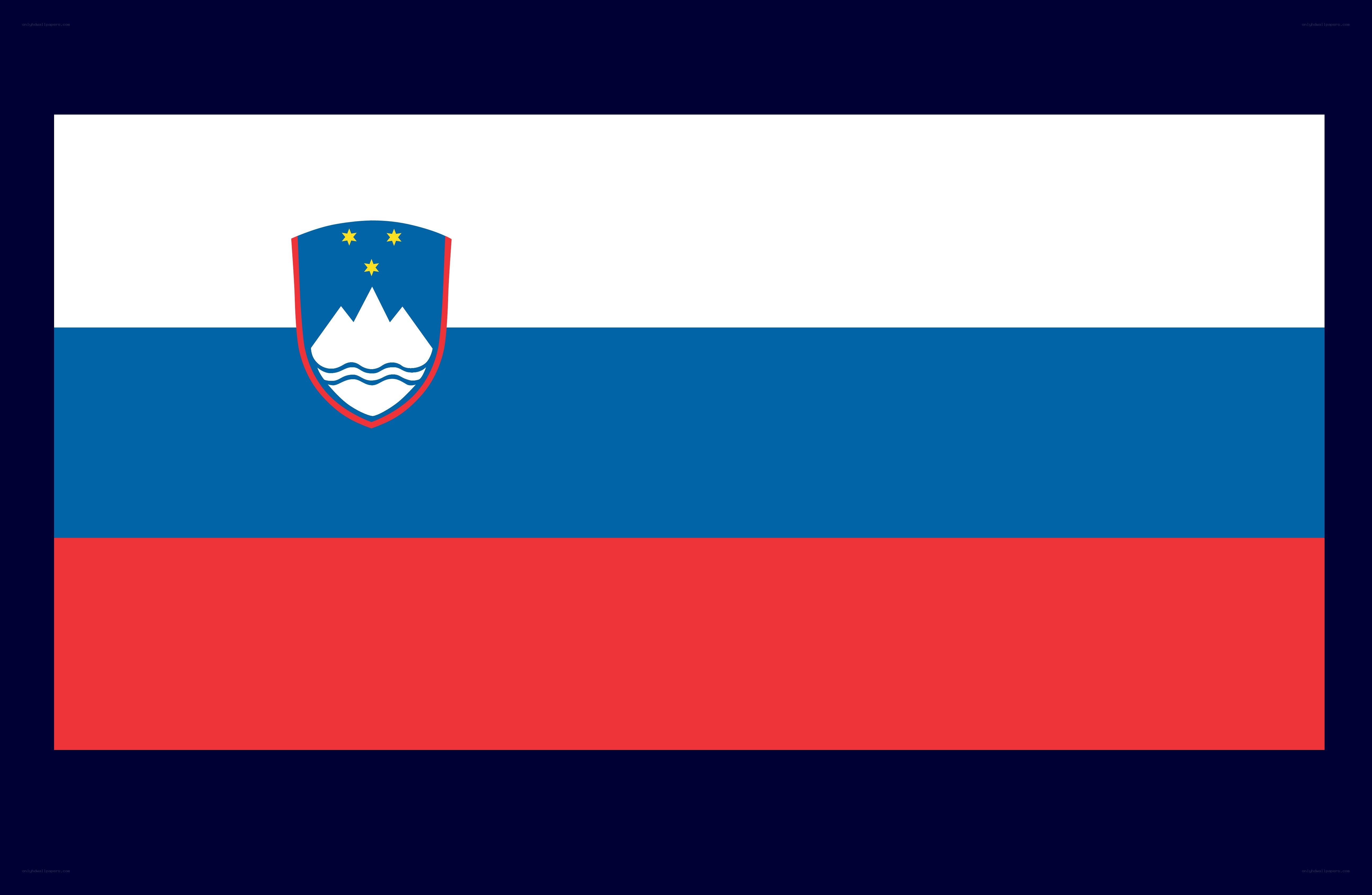 Slovenian national flag