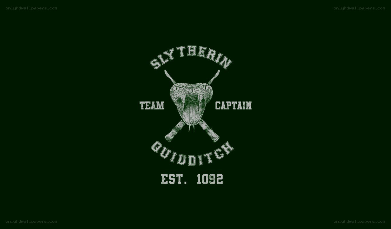 Slytherin Quidditch Team Logo