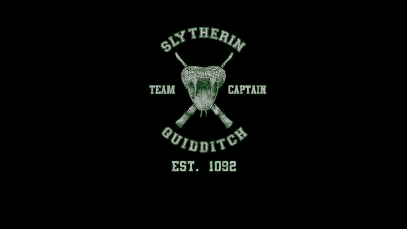 Slytherin Quidditch Team Logo