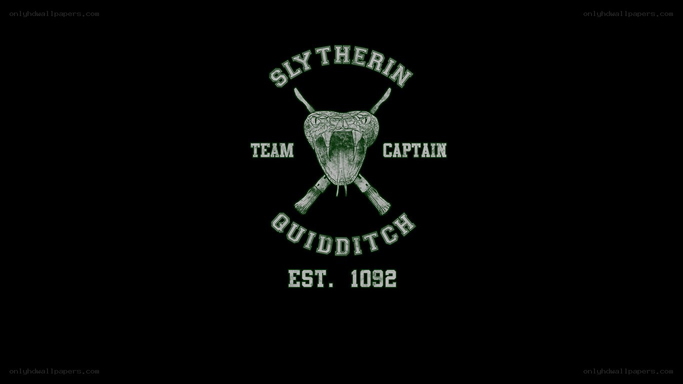 Slytherin Quidditch Team Logo