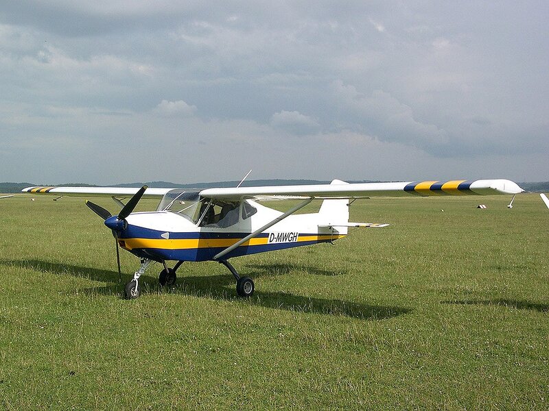 small airplane on grass field