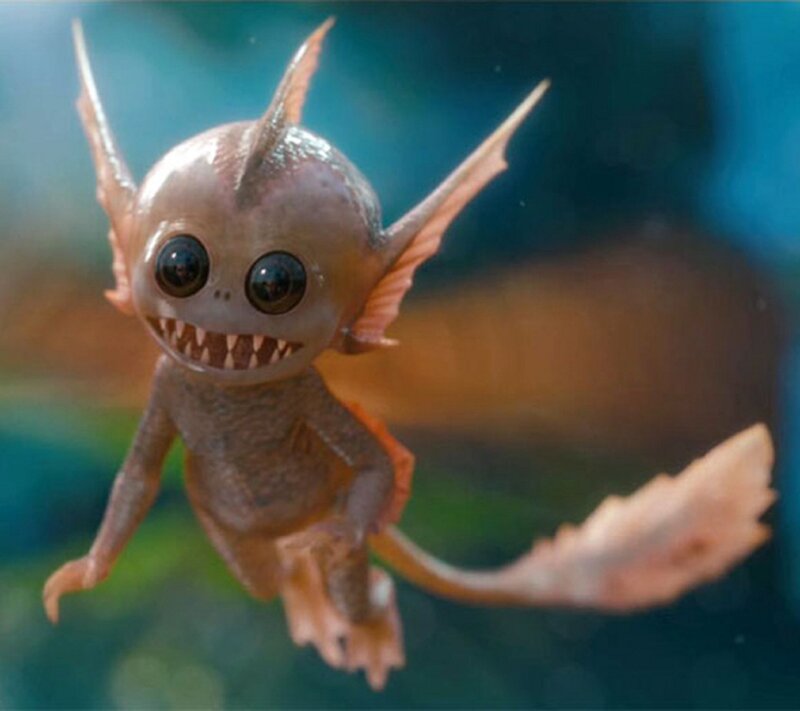 Small Amphibious Creature