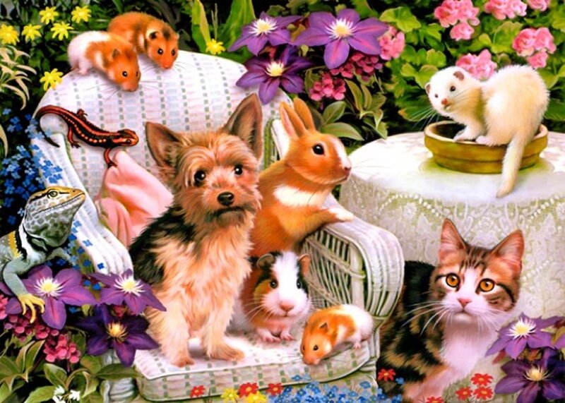 Small Animals in Garden