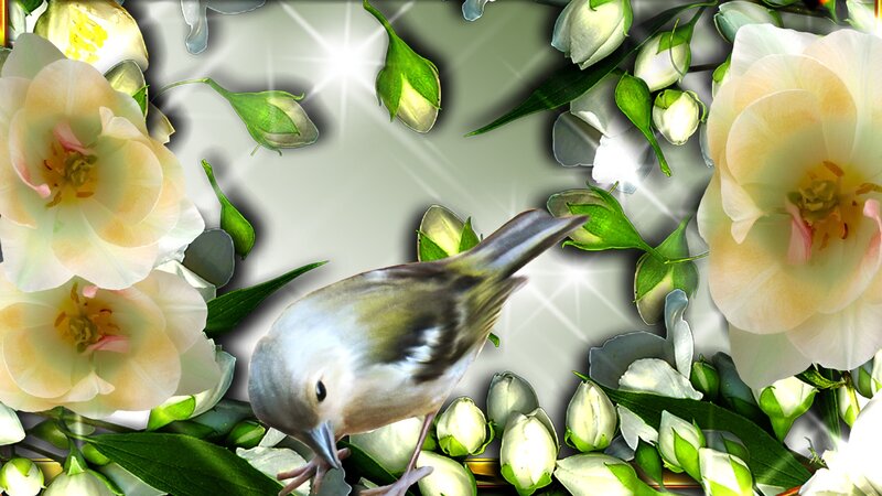 Small Bird Among Flowers