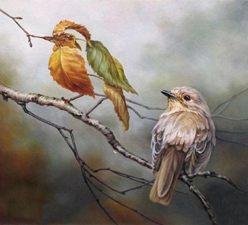 Small Bird on Branch — Brown, Serene
