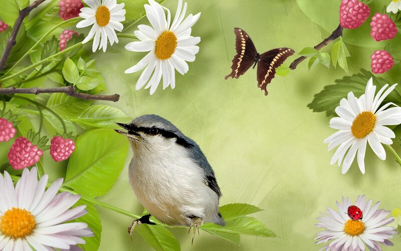 Small Bird on Branch — Green, Serene, Spring, Digital Art, Butterfly