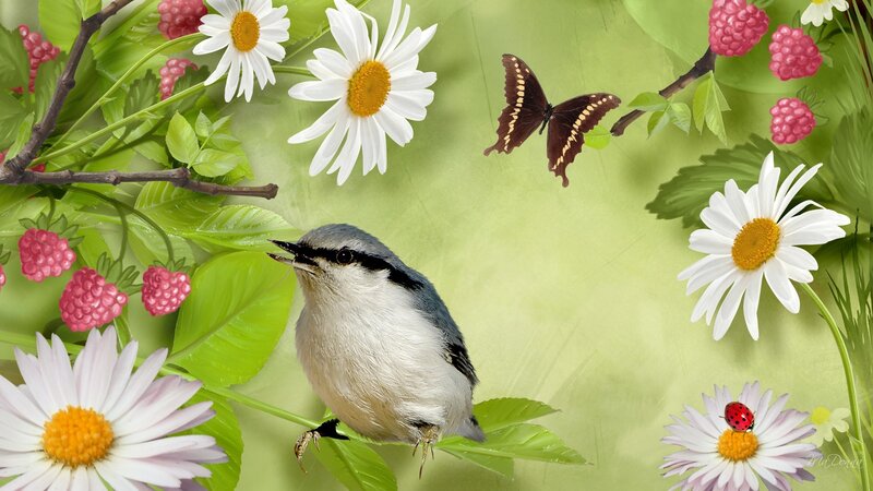 Small Bird on Branch — Green, Serene, Spring, Digital Art