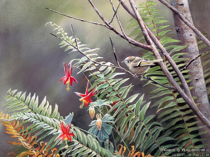 Small Bird on Branch — Green, Serene