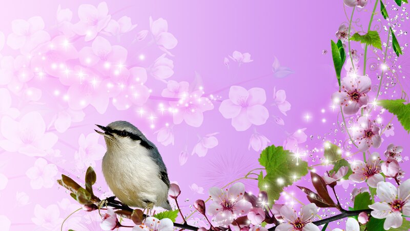 Small Bird on Branch — Pink, Serene, Spring