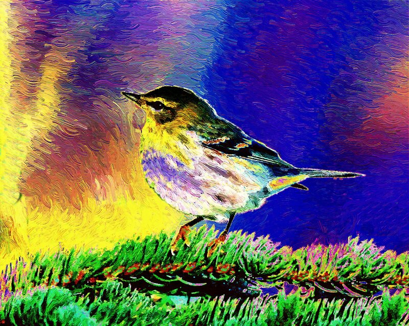 Small Bird on Branch — Yellow, Vibrant