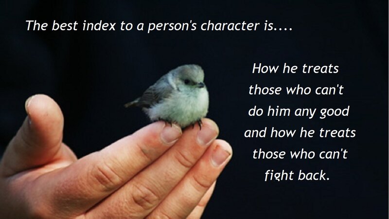 Small Bird on Hand — Black