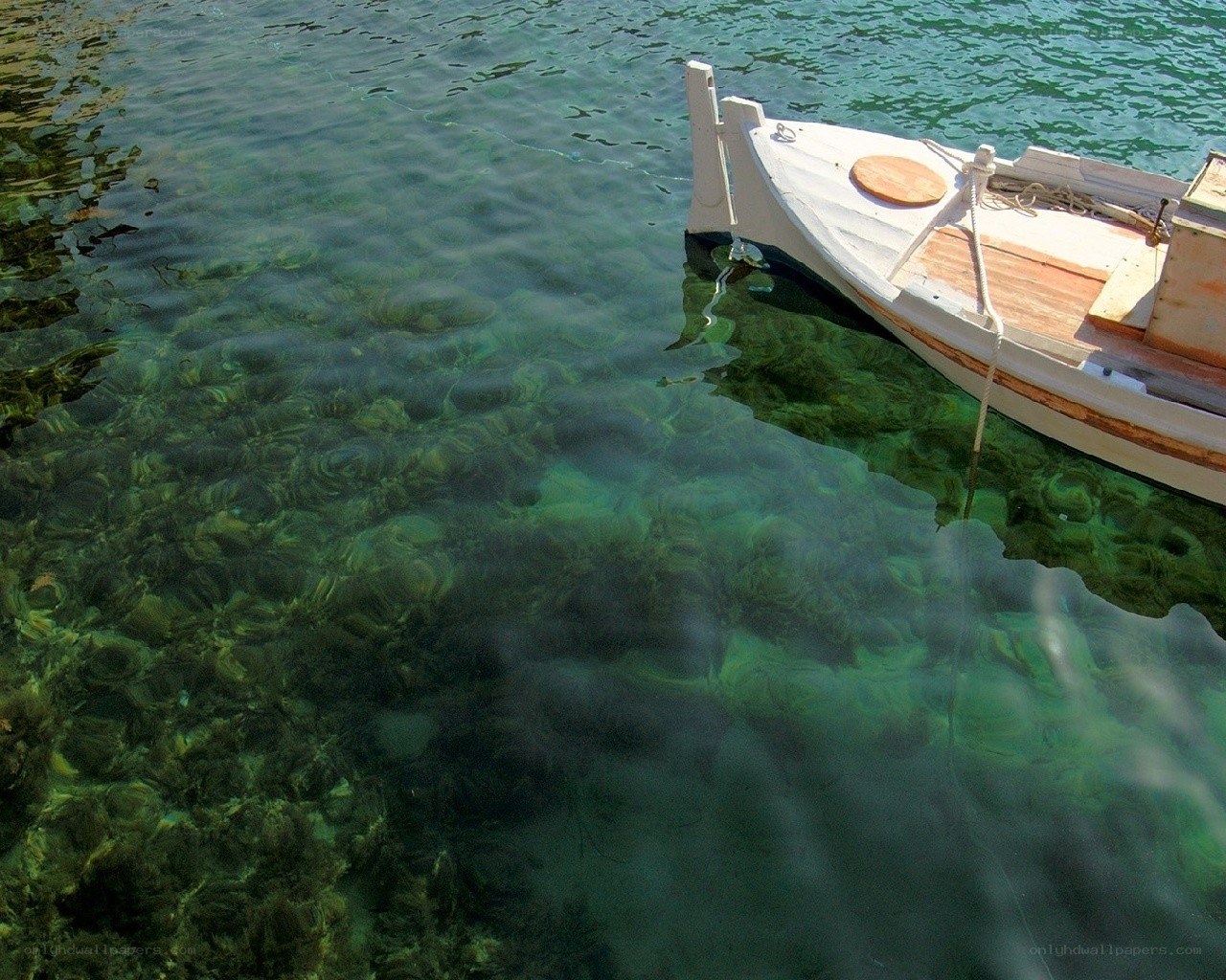Small boat in clear water