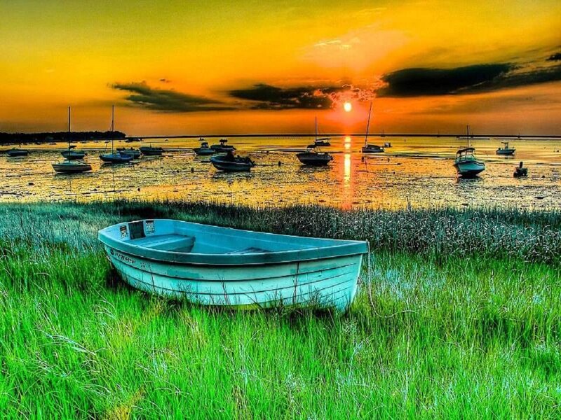 Small Boat in Grass — Green