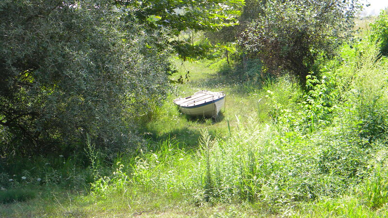 Small Boat in Grass