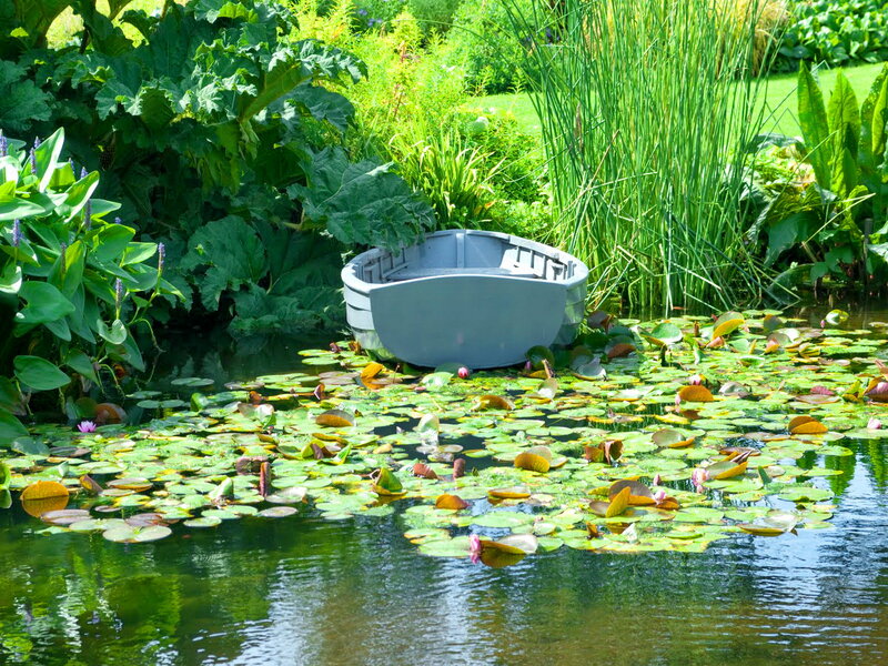 Small Boat in Pond