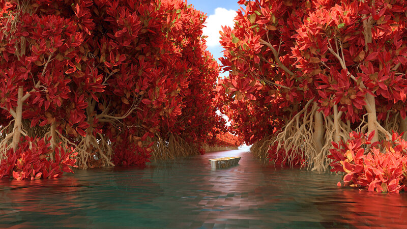 Small Boat in Red Forest