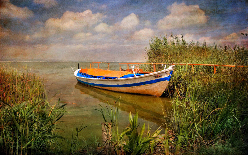 Small Boat in Reeds — Blue, Serene