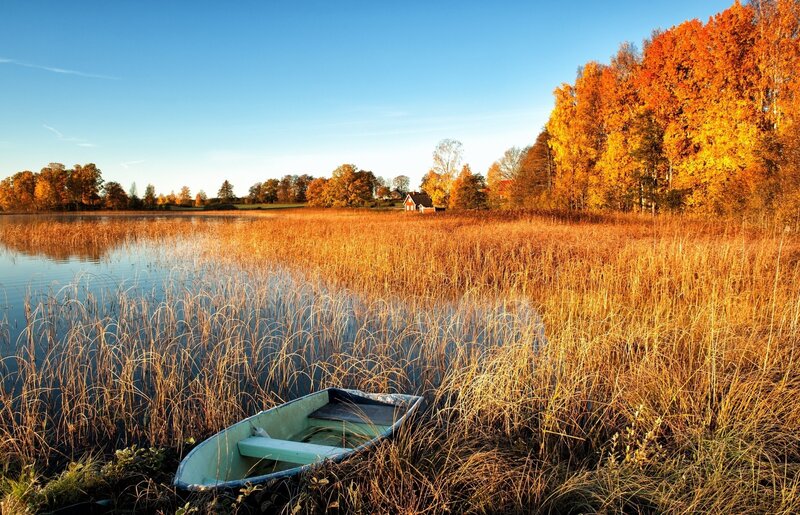 Small Boat in Reeds — Blue