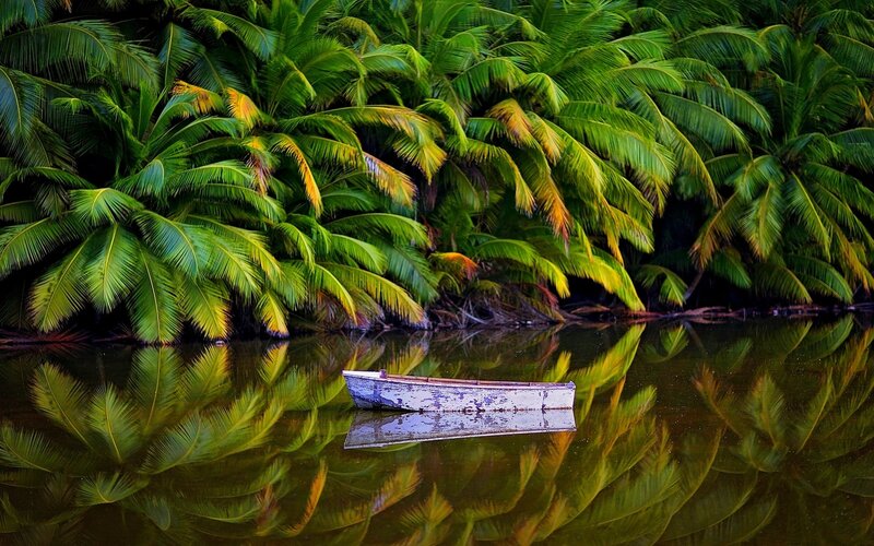 Small Boat in Water — Green